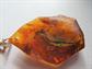 Vintage Large Amber Pendant on 1/20th 12K Gold Filled 30