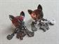 Sterling Silver Cat And Kitten Charms Pierced Earrings Fine Jewelry 925 