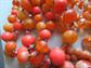 Vintage Orange Bead Lot Plastic Lucite Aurora Borealis Crystals Destash Repurpose Jewelry Making