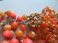 Vintage Orange Bead Lot Plastic Lucite Aurora Borealis Crystals Destash Repurpose Jewelry Making