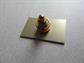 Vintage International Police  Washington DC Special Agent Faux Facsimile ID Tac Pin Collectibles