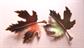 Vintage Leaf Pins Orange and Green Fall Colors Autumn Jewelry