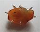 Artsy Genuine Agate ? Pin Brooch Stone Gemstone