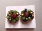 Western Germany Vintage Cluster Earrings Never Worn 