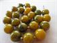 Vintage Genuine Bakelite Choker Necklace Beads Yellow Creamed Spinach For Restringing Destash