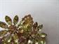 Citrine Rhinestone Pin Vintage Jewelry