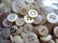 Vintage  Mother Of Pearl Buttons Lot Sewing Notions Crafting