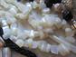 Vintage Jewelry Lot Mother of Pearl Bone