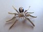 Rhinestone Navy Blue Spider Pin Figural Brooch