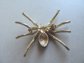 Rhinestone Navy Blue Spider Pin Figural Brooch