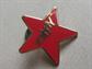 1990's Ebay 1,000 Feedback Red Star Pin Collectibles