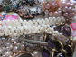 Jewelry Parts Craft Lot Conchos Charms and More Destah 