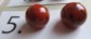 Vintage Chunky Bakelite Pierced Ball Earrings Never Worn