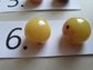 Vintage Chunky Bakelite Pierced Ball Earrings Never Worn