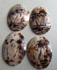 Four Carved Genuine Shell Palm Tree Tropical Pendants Jewelry Making Supplies