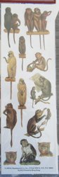 Vintage 1999 Shackman Embossed Monkey Stickers Lot  8 Pkgs. 288 Pcs. Sealed