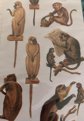 Vintage 1999 Shackman Embossed Monkey Stickers Lot  8 Pkgs. 288 Pcs. Sealed
