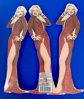 Elvis Marylyn Monroe or James Dean Fold Out Cards Your Choice 1995 Triangle Ent. Never Used