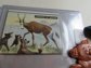 Vintage Junk Drawer Lot Trader Vics Drink Stirrer, Pocket Mirror And More!