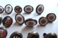Vintage Enameled Canterbury Collar Hat or Tie Clip Collection Rare!