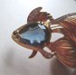 Sapphire Blue Rhinestone Tropical Fish Pin