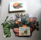Fresh Cut Paper Winter Magnolia Pop Up Floral Mini Greeting Cards in Box
