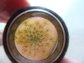 Vintage Pressed Yellow and Pink Flower Pin
