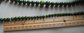 Genuine Bakelite Necklace Creamed Spinach For Restringing