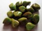 Genuine Bakelite 14 Abstract Beads Gorgeous Green Yellow Brown Swirls Jewelry Making