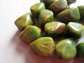 Genuine Bakelite 14 Abstract Beads Gorgeous Green Yellow Brown Swirls Jewelry Making