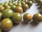 Vintage Bakelite Triple Strand Necklace End Of Day Gorgeous Swirls! 