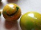 Vintage Bakelite Triple Strand Necklace End Of Day Gorgeous Swirls! 