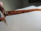 Vintage 1990's Ladies Tortoise Sunglasses Never Worn Original Tag